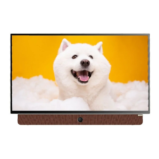 Google tivi xách tay di động Coocaa 24LP6000G 24 Inch Full HD