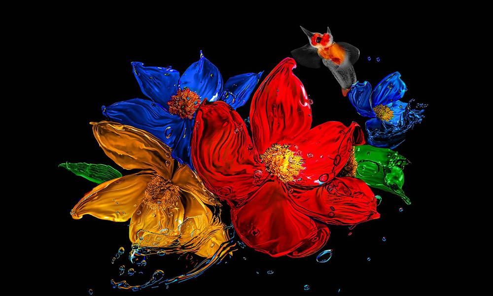 Google Tivi TCL QLED 98P8K – Màn hình QLED tái tạo màu sắc sống động, trải nghiệm 4K sắc nét