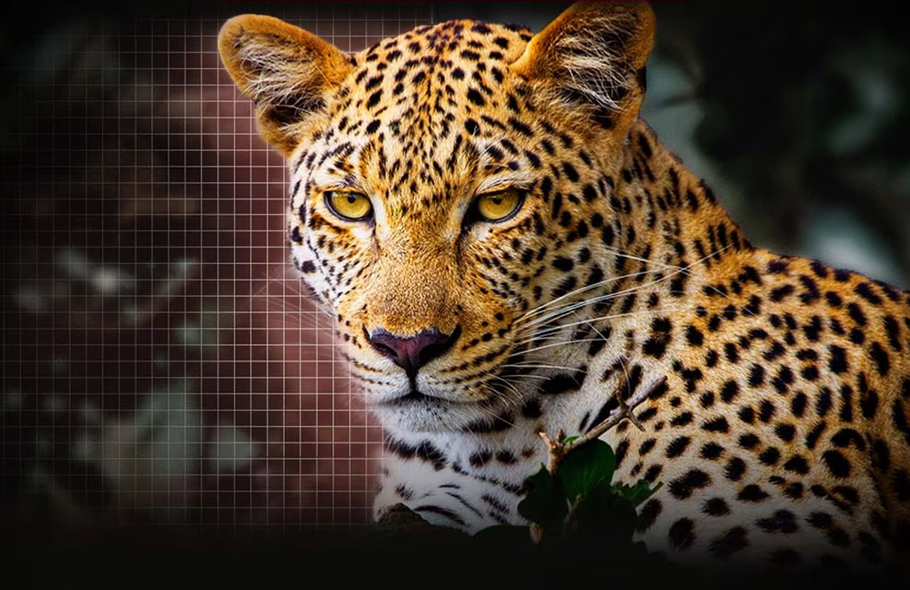 Tivi LG giá rẻ – Hình ảnh sắc nét với công nghệ AI Picture Pro