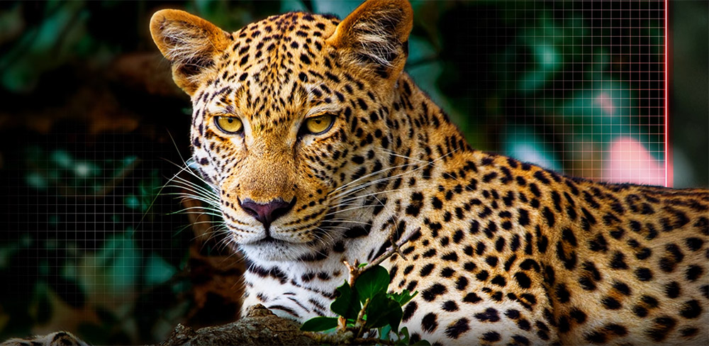 Tivi LG – Nâng tầm hình ảnh với công nghệ AI Picture Pro thông minh