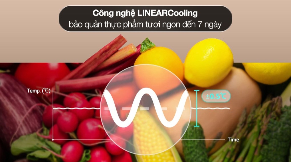 Tủ lạnh LG LFD58BLMA giá rẻ – Bảo quản thực phẩm tối ưu với công nghệ tiên tiến